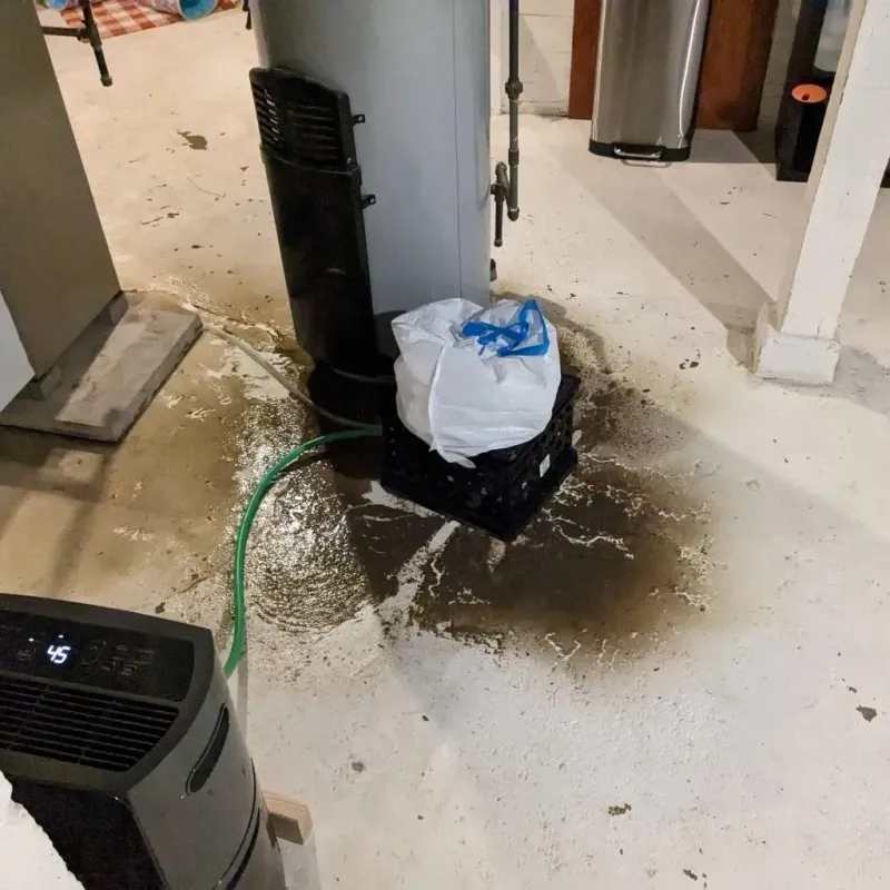 Sewage Backup Cleanup Service in Poplar-Cotton Center, CA